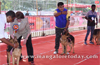 National level Dog Show in Mangaluru